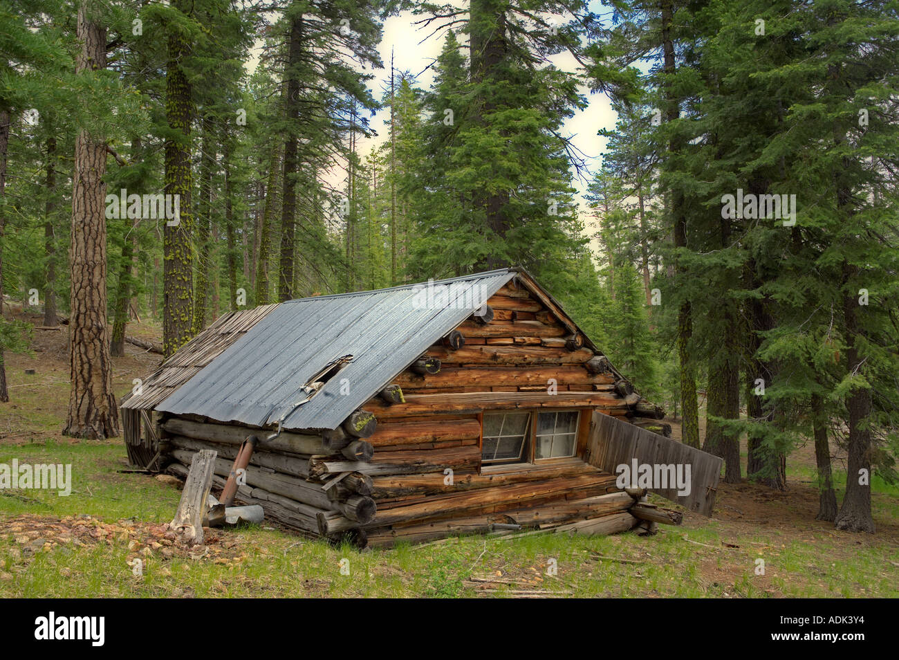 Cabane de chasse abandonnés dans la Forêt Nationale de l'Oregon Freemont Banque D'Images