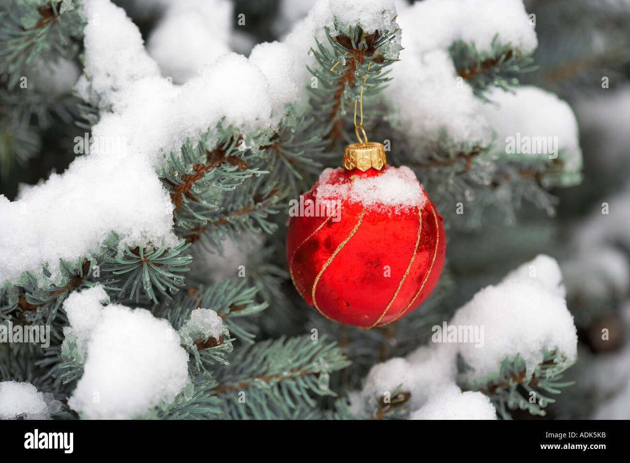 Ornement d'arbre de Noël sur l'arbre couvert de neige Banque D'Images