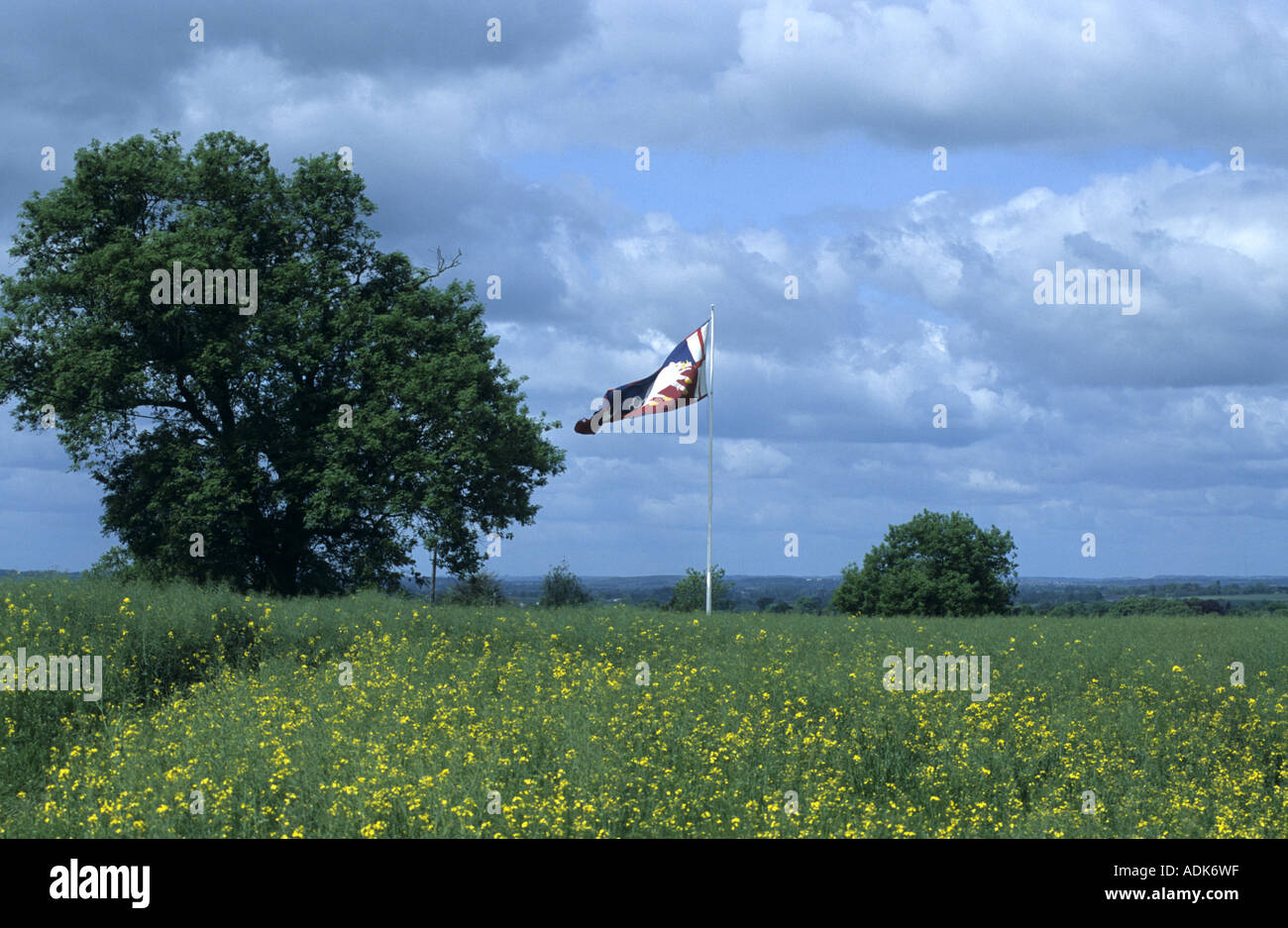 Le roi Richard's standard vol au-dessus du site de bataille de Bosworth, Leicestershire, England, UK Banque D'Images