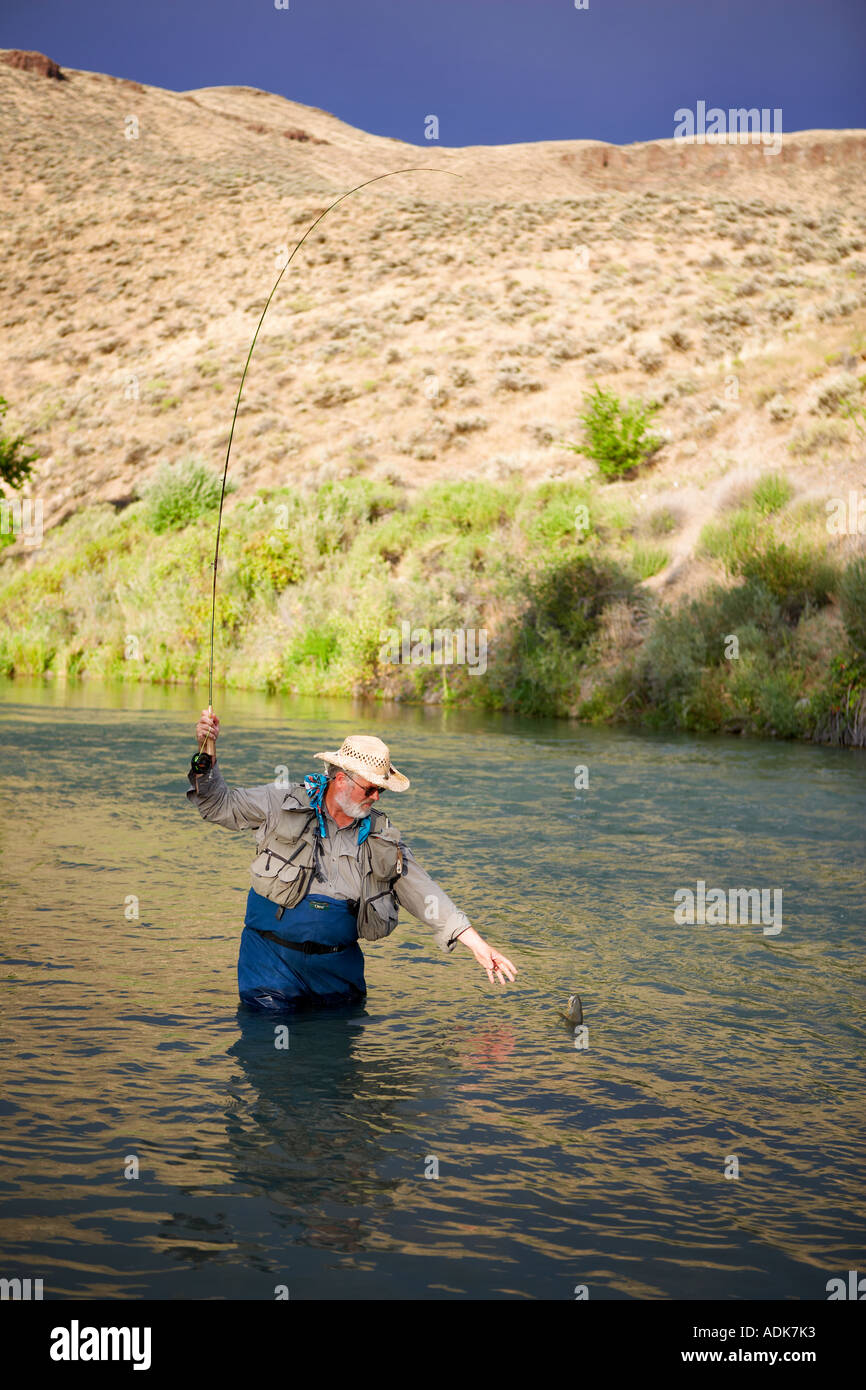 Fisherrman la mouche de la truite brune d'atterrissage sur l'Owyhee River Oregon Banque D'Images