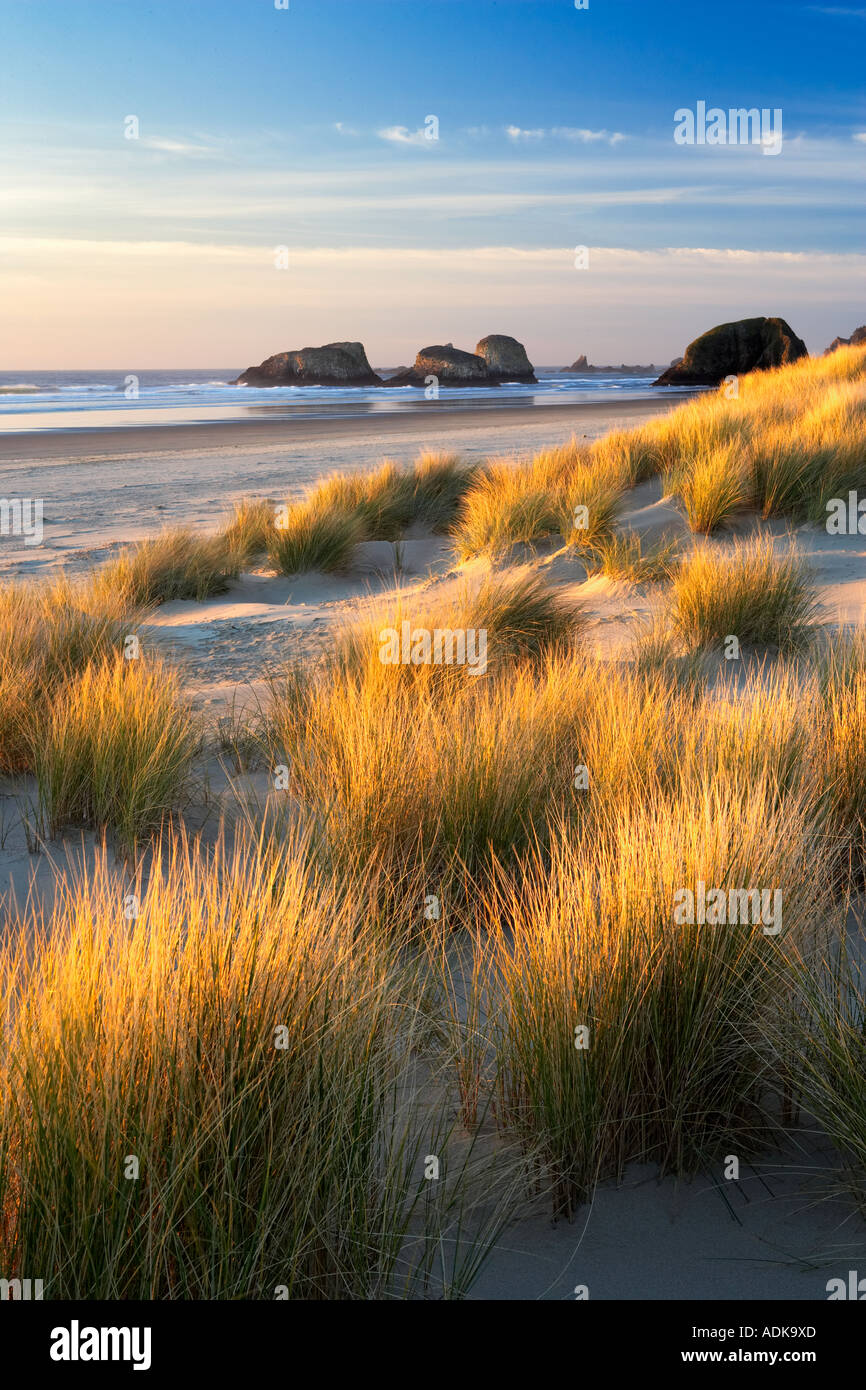 L'herbe des dunes et mer volcanique Cannon Beach Oregon piles Banque D'Images
