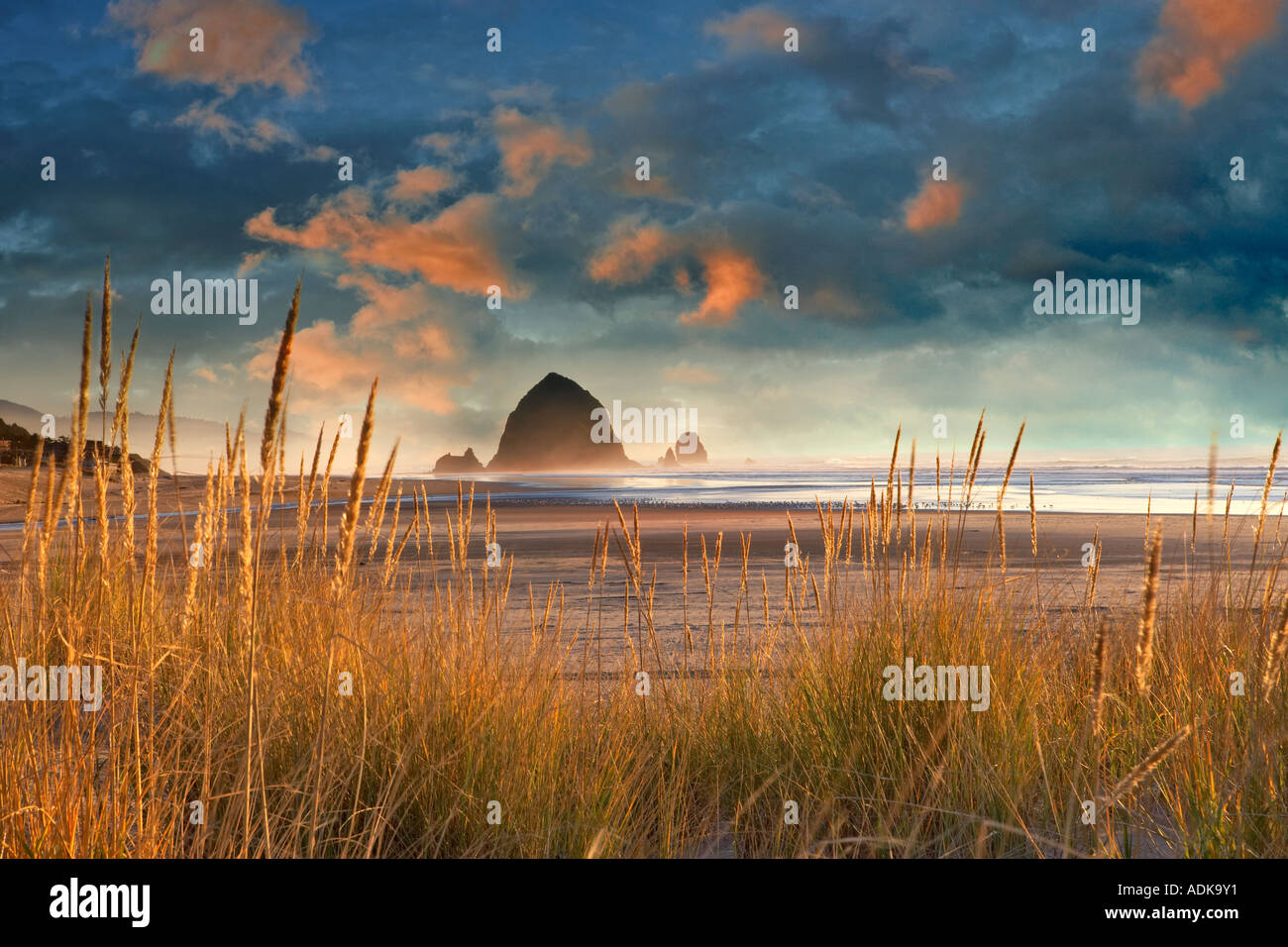 L'herbe des dunes avec Haystack Rock at Cannon Beach Oregon Banque D'Images