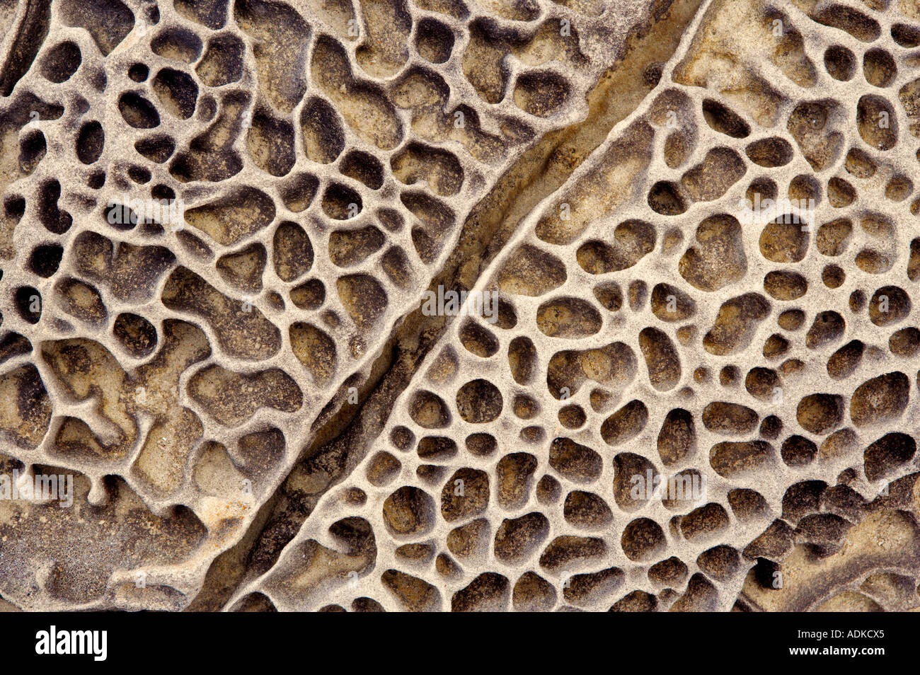 Formation rocheuse inhabituelle dans la formation de grès Sel Point State Park en Californie Banque D'Images