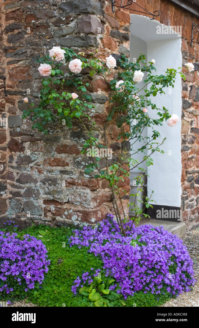 Chalet de la porte avec des fleurs, Somerset, UK Banque D'Images