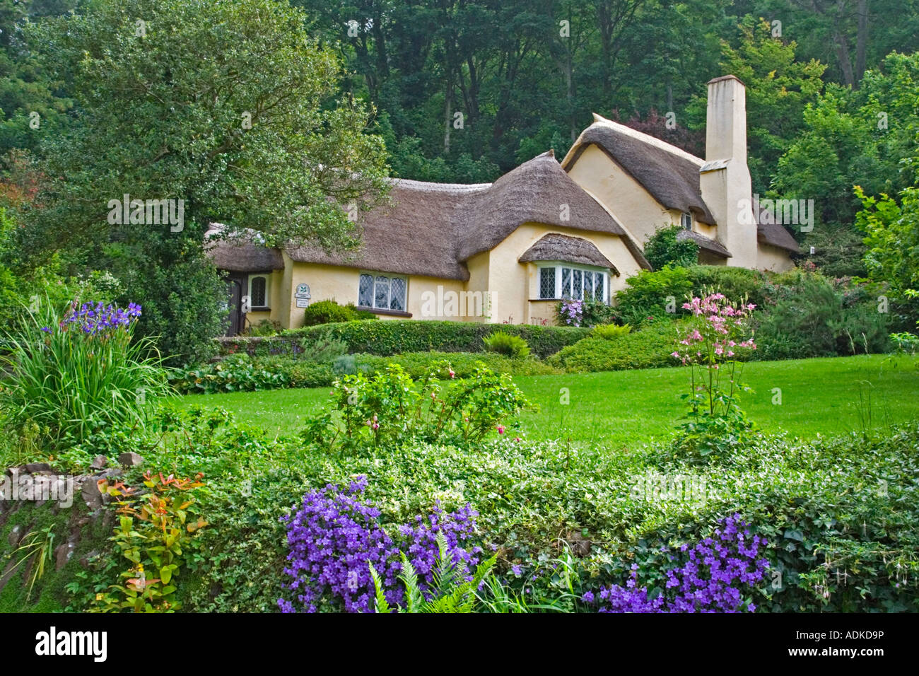 Chaumière et jardin, Selworthy vert, Somerset, UK Banque D'Images