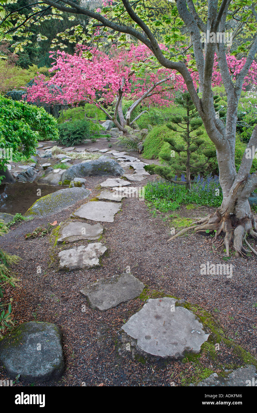 Chemin de pierre et de cerisier en fleurs jardin Lithia Park Ashland Oregon Banque D'Images