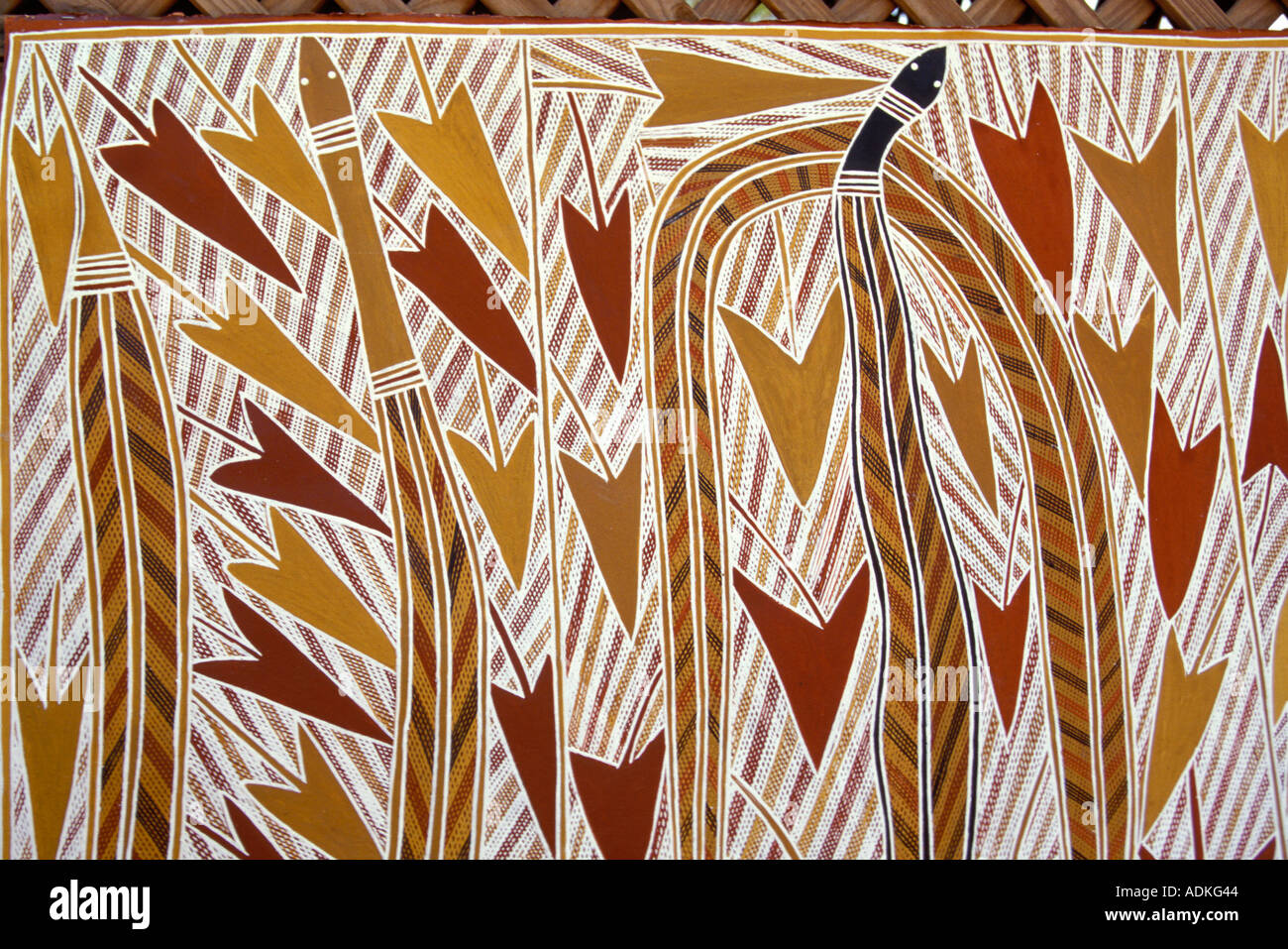 Peinture sur écorce autochtones par Djardie Ashley Ramingining Arnhemland Australie Banque D'Images