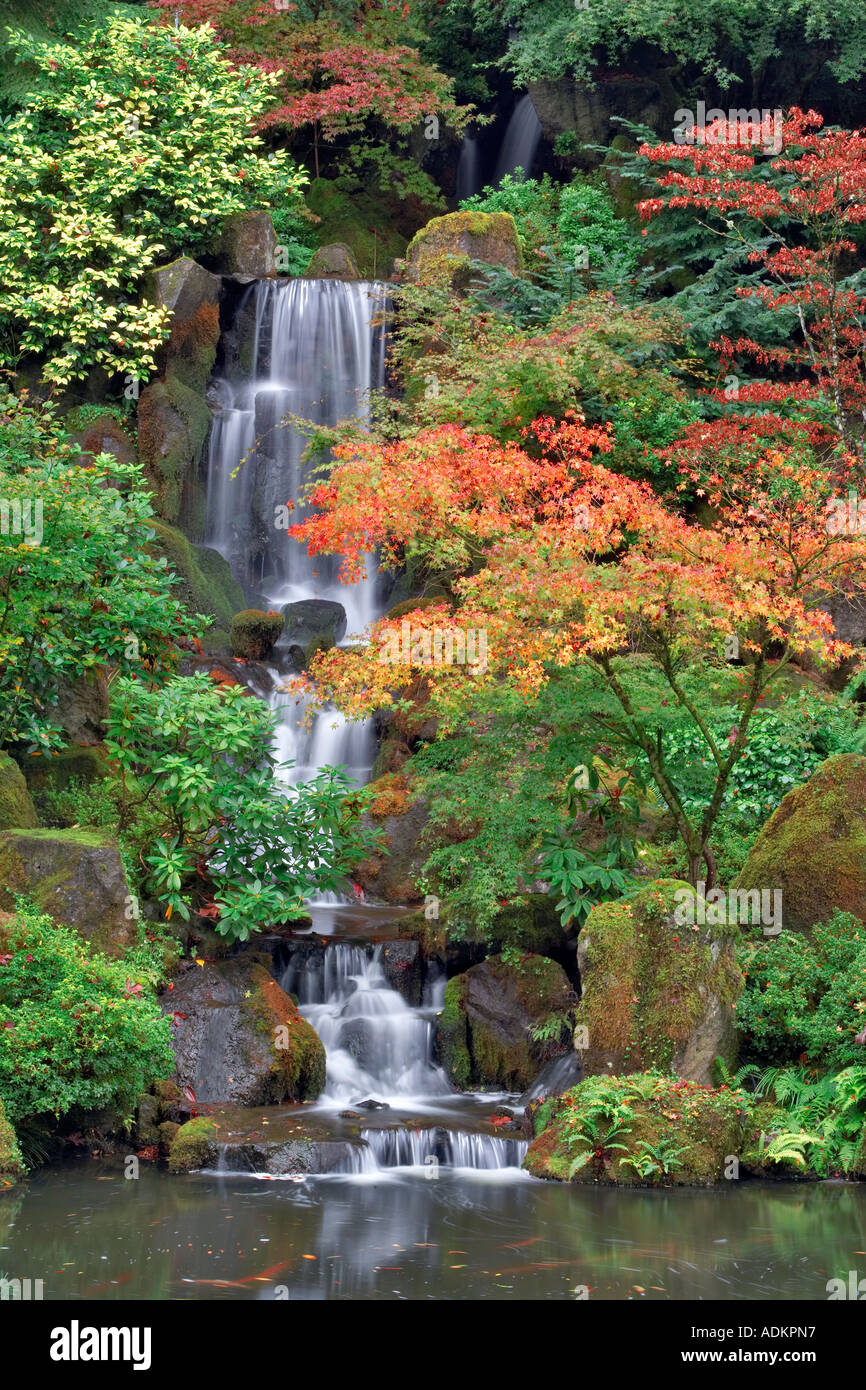 La couleur de l'automne avec une cascade dans les jardins japonais Portland Oregon Banque D'Images