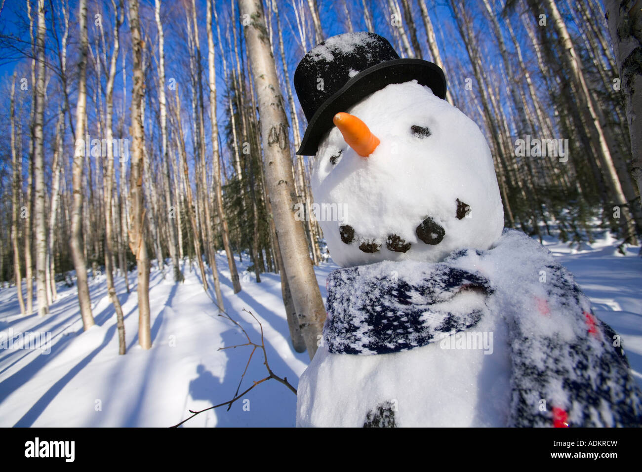 Le Snowman dans top hat écharpe en profonde forêt de bouleaux l'intérieur de l'Alaska, Winter Banque D'Images
