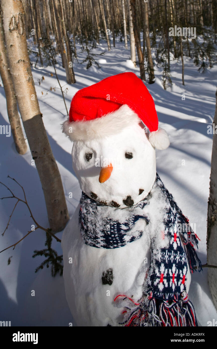 Le Snowman in santa hat écharpe en profonde forêt de bouleaux l'intérieur de l'Alaska, Winter Banque D'Images