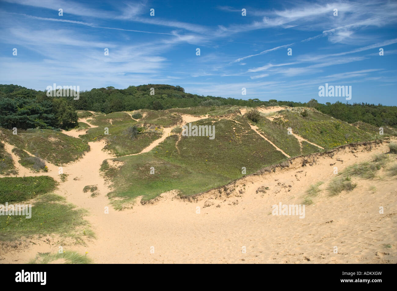 Dunes de sable Merthyr Mawr Glamorgan South Wales Banque D'Images