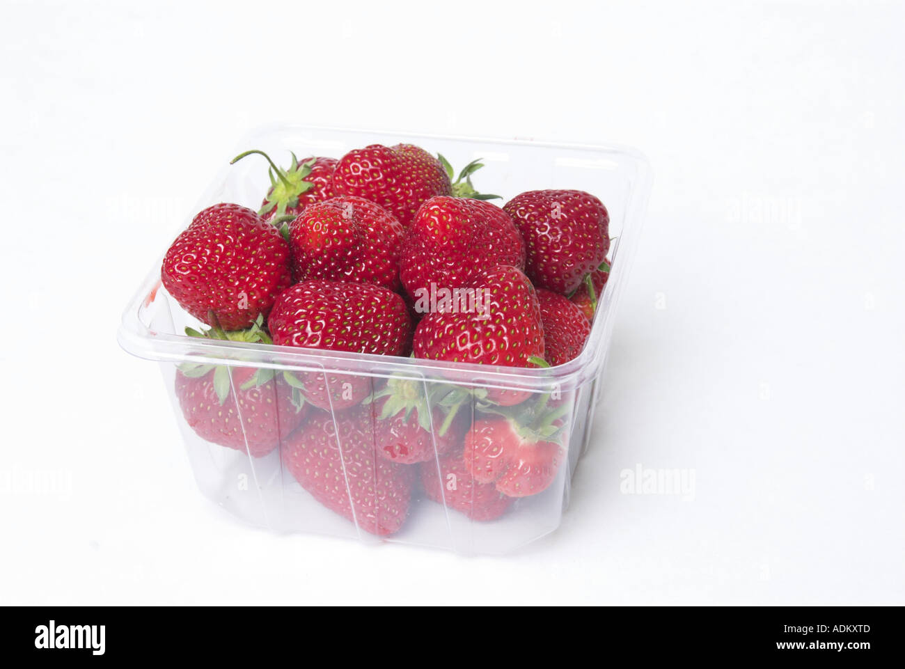 Punnett de fraises contre fond blanc Banque D'Images