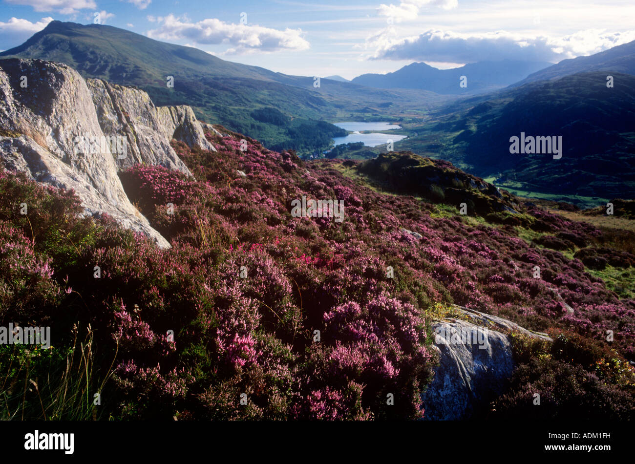 Moel Siabod Llyn Mymbyr Snowdonia au nord du Pays de Galles Royaume-uni Snowdon Banque D'Images