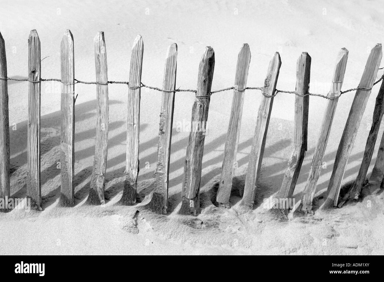 Erasion les clôtures de protection dans les dunes à Camber Sands Rye East Sussex England Banque D'Images