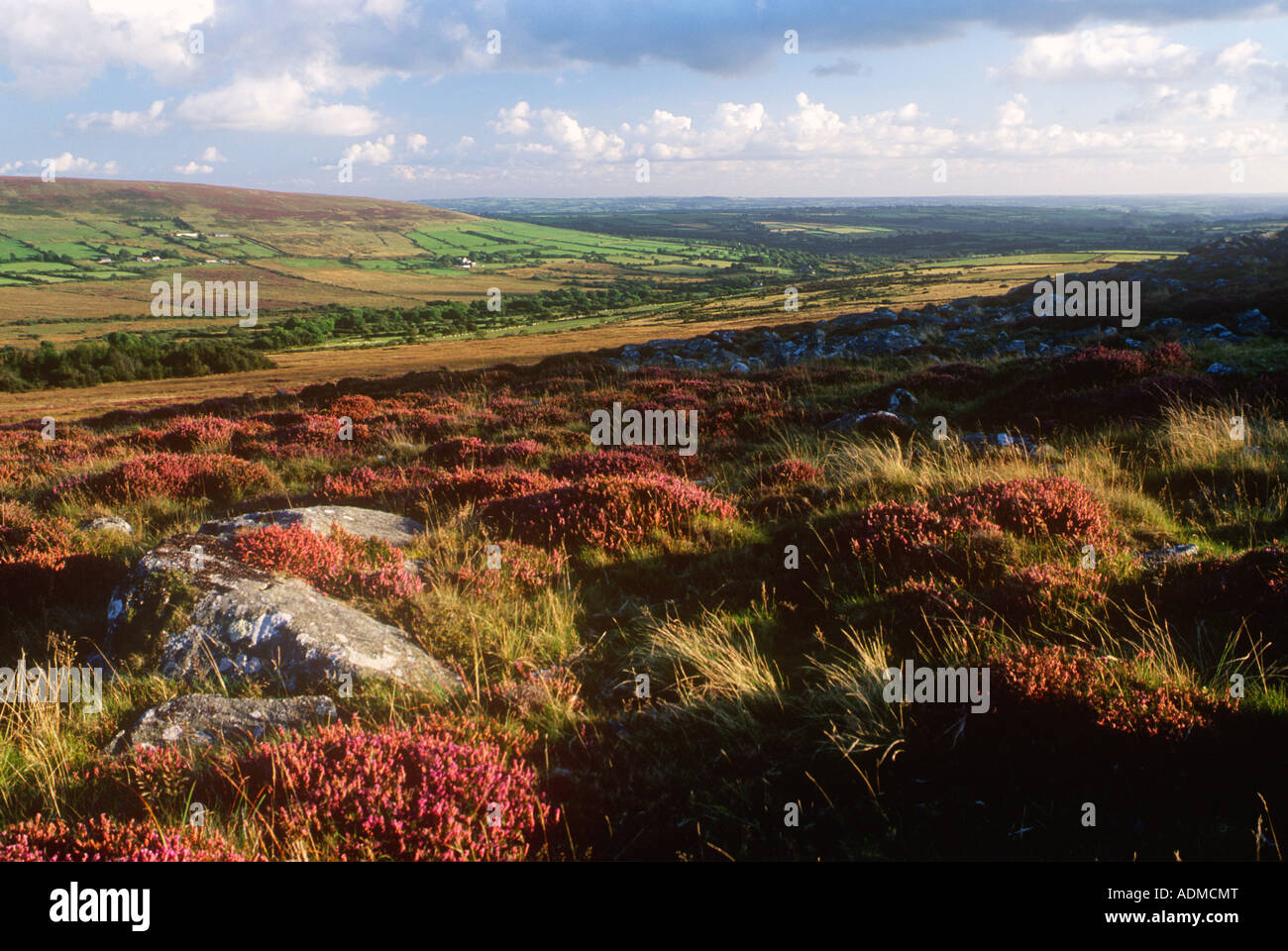 L'a amenée, paysage, Pembrokeshire Dyfed West Wales UK Banque D'Images