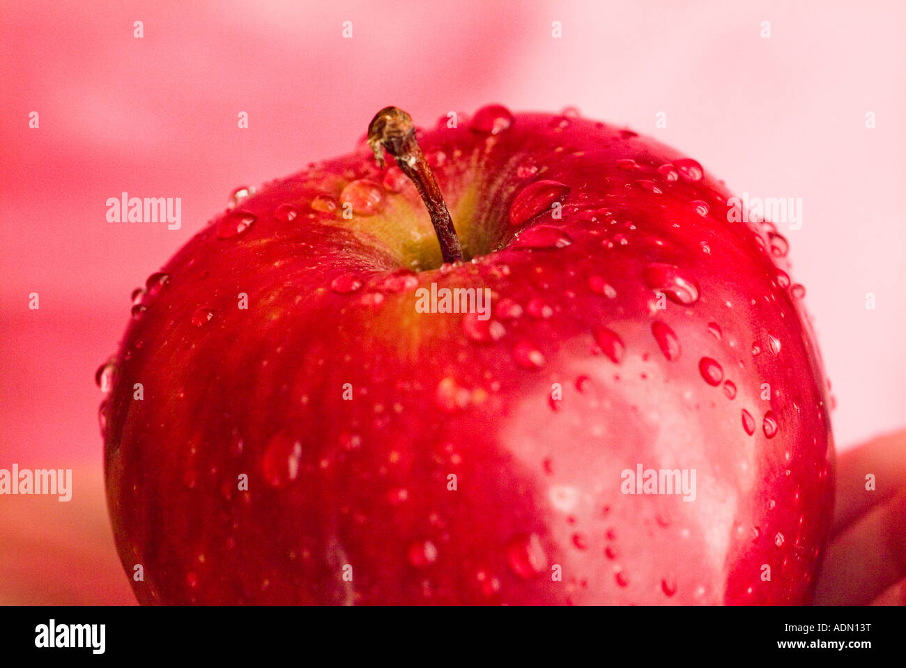 Une seule pomme Red Delicious couverte de gouttelettes d'eau Banque D'Images