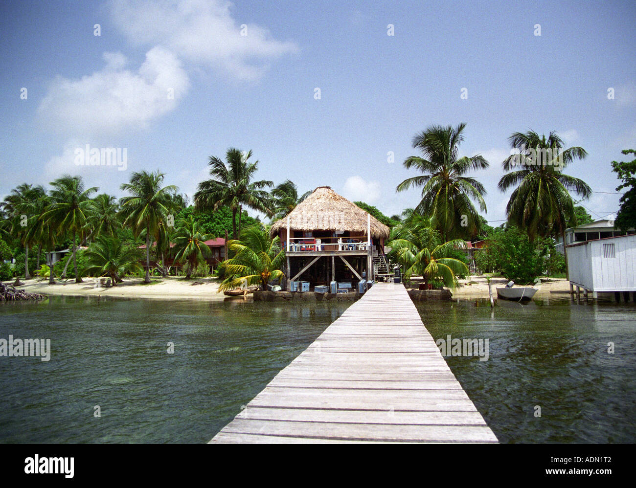 Amérique centrale BELIZE PLACENCIA Tentacules Août Restaurant dans l'un des meilleurs spots du Belize plage refroidi par les brises de mer Banque D'Images