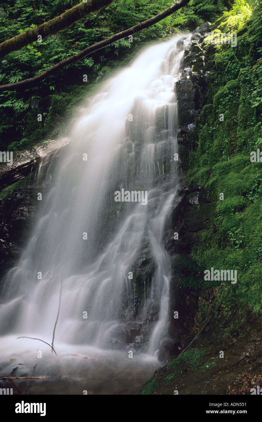 Une chute d'eau de ruissellement au printemps dans les montagnes de l'Oregon Cascade Banque D'Images