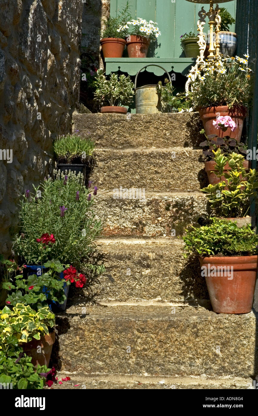 Les plantes en pots sur les étapes d'un chalet en Cornouailles, Angleterre,mousehole Banque D'Images