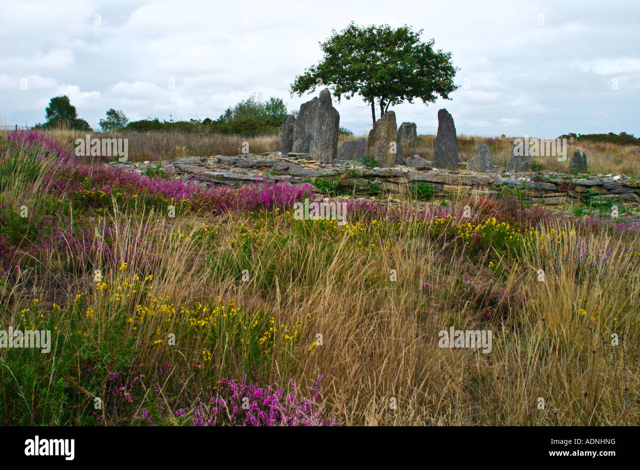 Menhir à St Just France à l'automne Banque D'Images