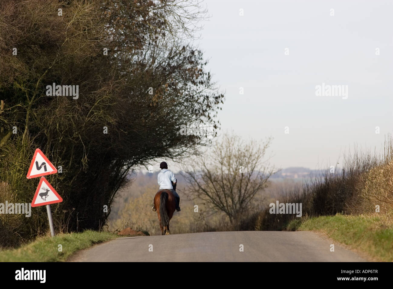 Jeune fille solitaire à cheval en pays village lane Kingham Waer les Cotswolds Angleterre Royaume-Uni Banque D'Images