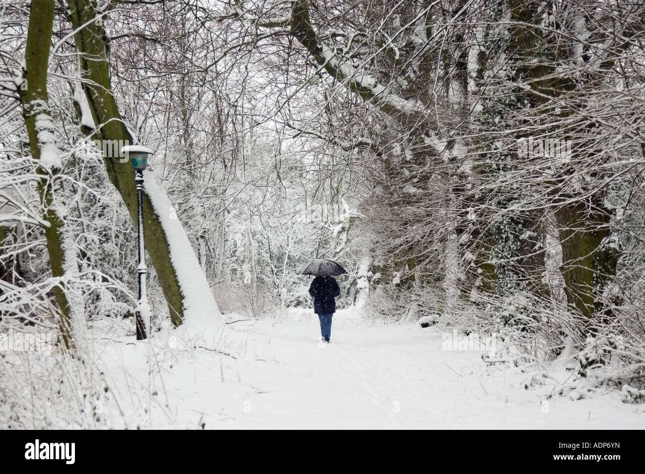 Walker avec parapluie flâne sur la neige couverts Royaume-Uni Londres Hampstead Heath Banque D'Images