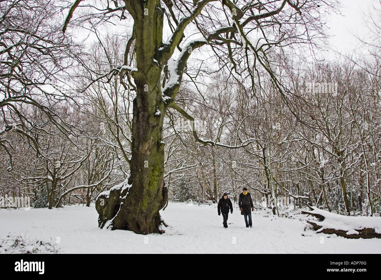 Deux hommes à pied sur la neige couverts Hampstead Heath North London United Kingdom Banque D'Images