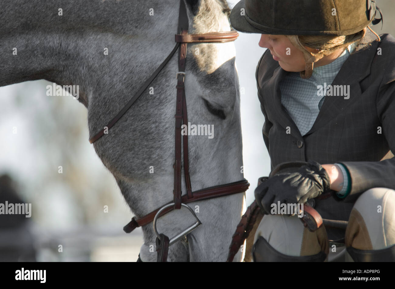 Un moment de tendresse au cours de pause dans l'action entre teen girl et son cheval au saut d'obstacles Banque D'Images
