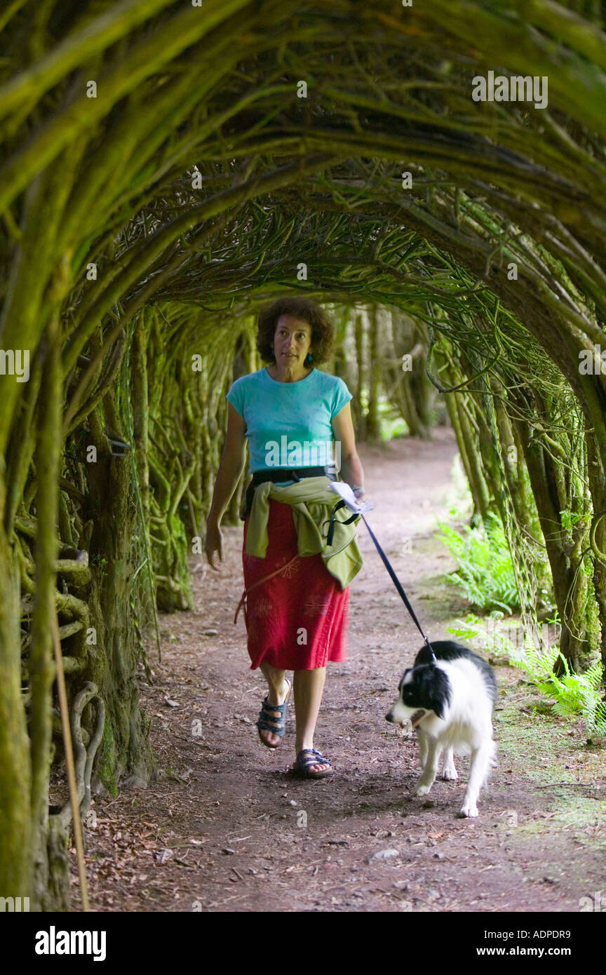 Femme et chien marche à travers une arche en Trevarno Gardens, Cornwall, UK Banque D'Images