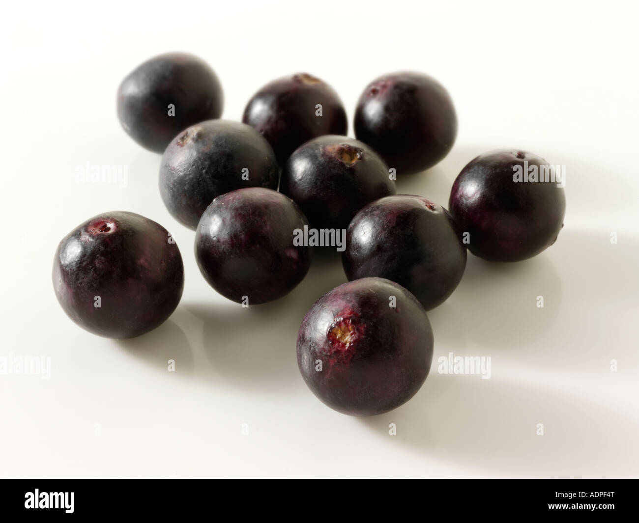 Les baies d'Acai fruit anti oxident lâche sur un fond blanc prêt à découper Banque D'Images