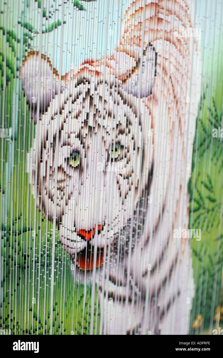 Floride, rideau de bambou, décoration, peinture, tigre blanc Banque D'Images