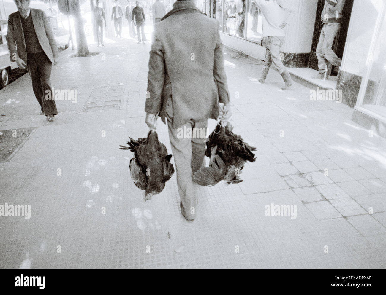 Homme avec trussed poulets dans les rues de Ville Nouvelle Nouvelle Ville de Fès au Maroc au Maghreb en Afrique du Nord Sahara. Peuple Marocain Fes Banque D'Images