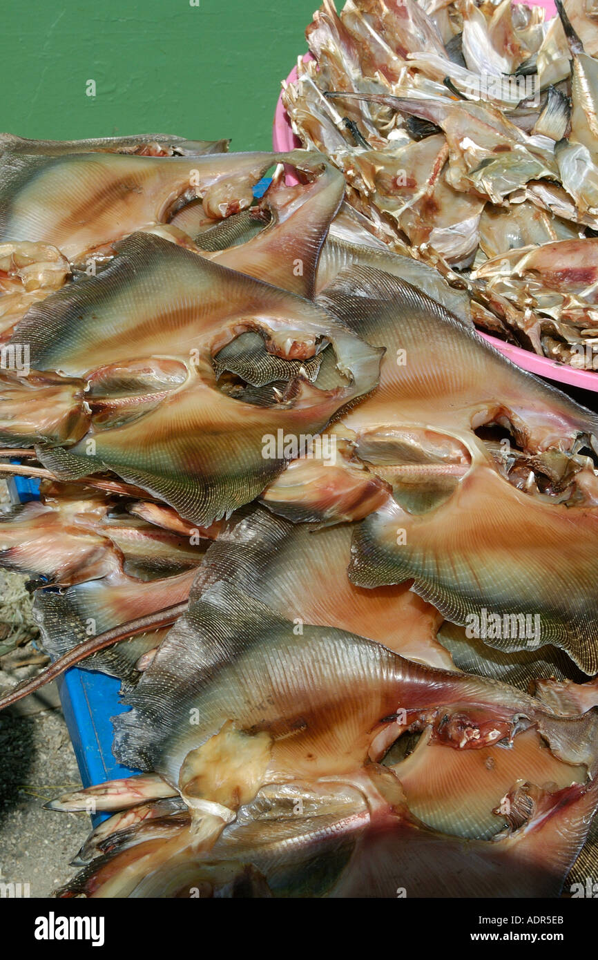 Raies séchées à la vente à un marché de fruits de mer près de la jetée de Yeongjongdo Gyeonggi Do Corée du Sud Incheon Banque D'Images