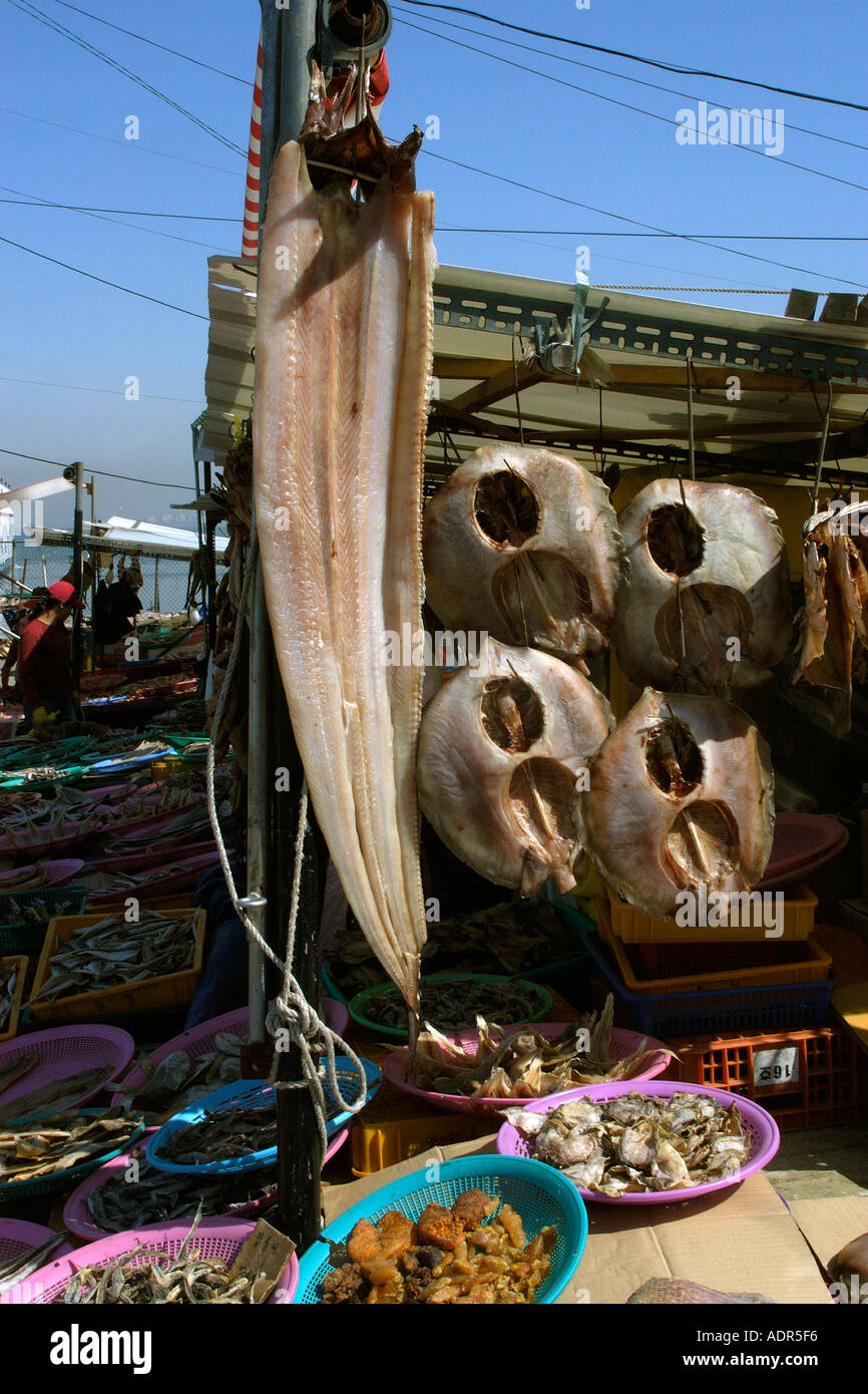 Le poisson séché et des raies à vendre à un marché de fruits de mer près de la jetée de Yeongjongdo Gyeonggi Do Corée du Sud Incheon Banque D'Images