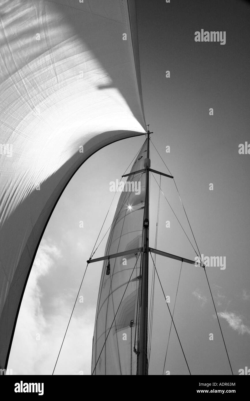 Le vent dans les voiles Banque D'Images