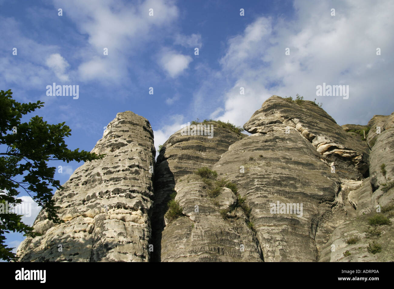 Des rochers de grès de l'Allemagne Saxe Saxe swiss Vue de l'escalade des rochers de grès rock Banque D'Images