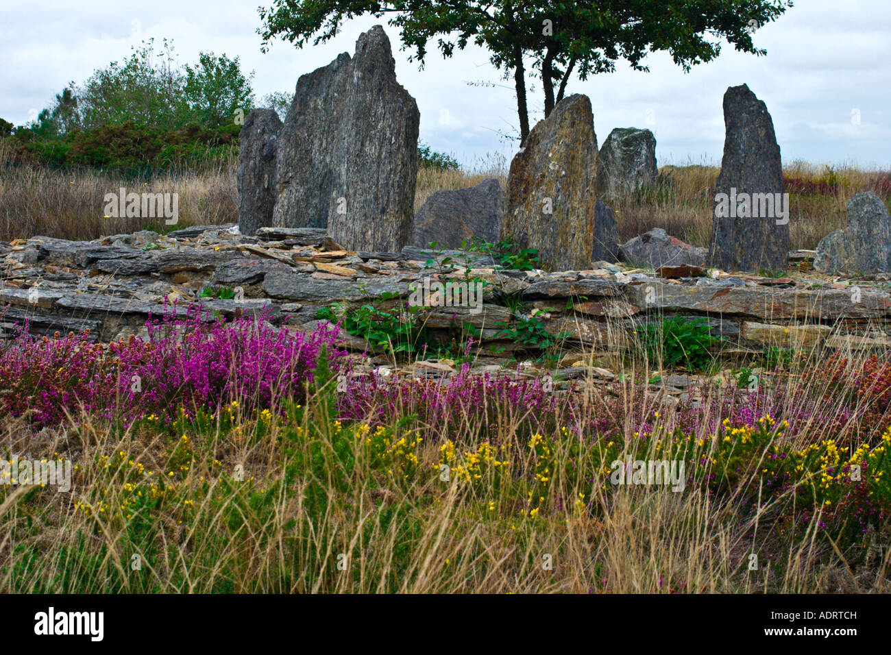 Menhir à St Just France à l'automne Banque D'Images