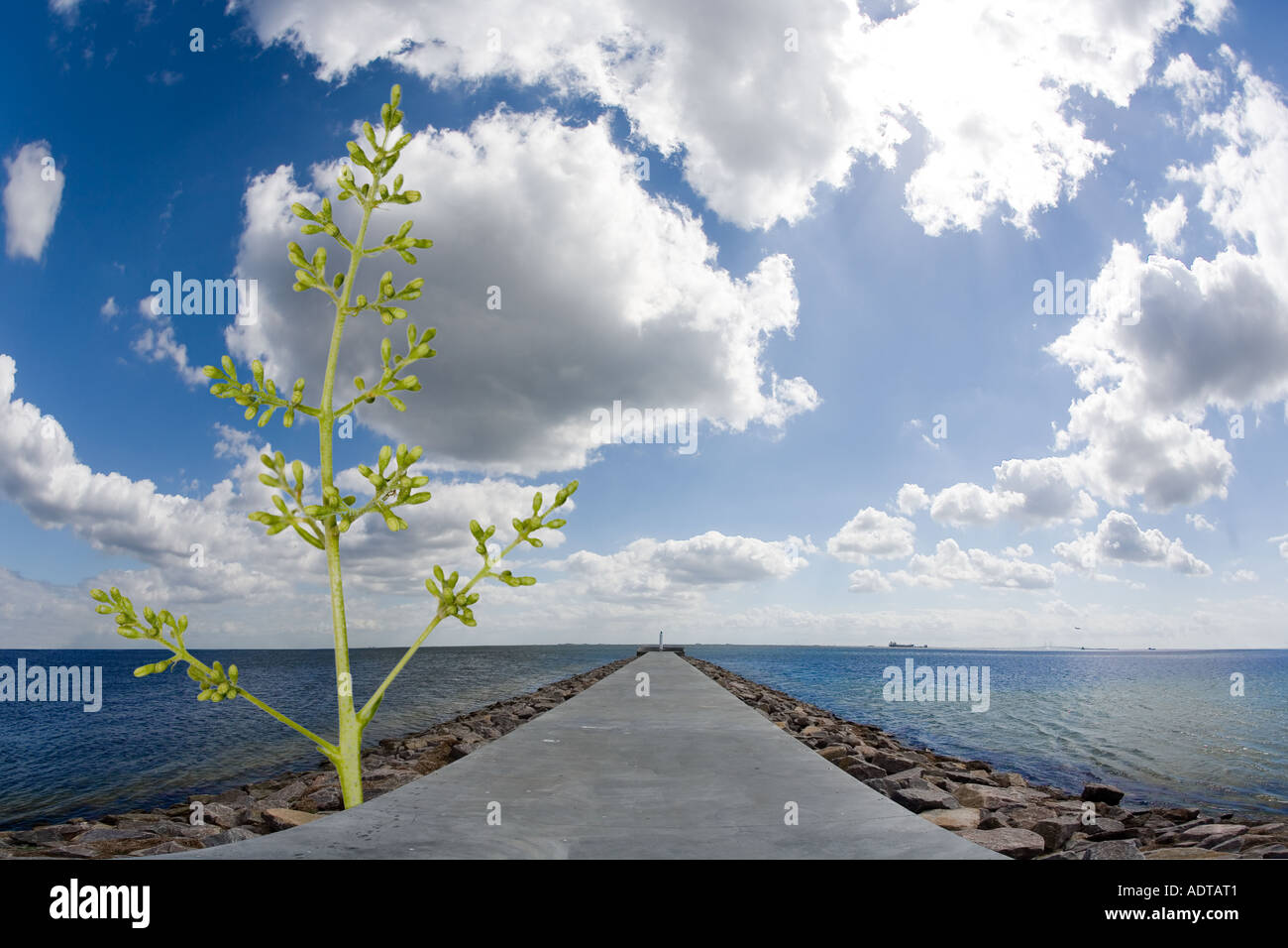 Pier Banque D'Images