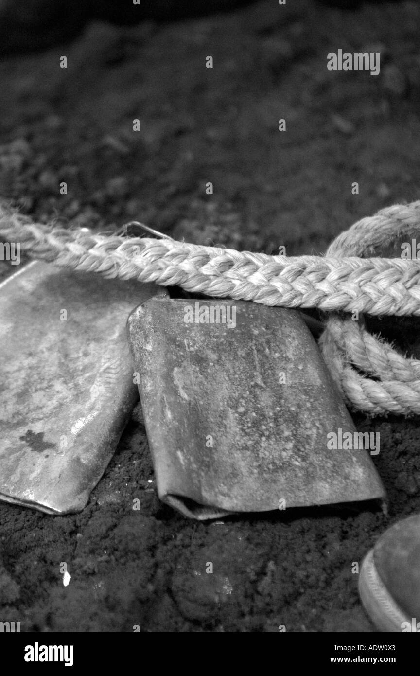 Sur l'entrepiste de cloche de vache à un rodéo Banque D'Images