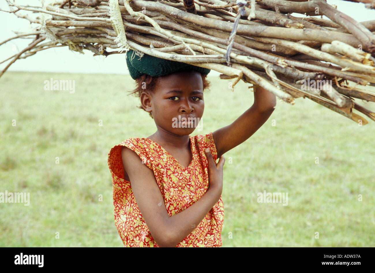 Girl transporter le bois, portrait Banque D'Images