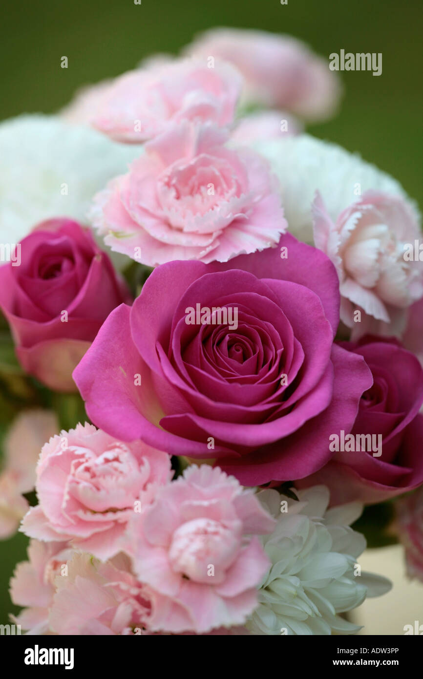 Bouquet de fleurs roses et blanches comprenant des roses, des œillets et un chrysanthème Banque D'Images