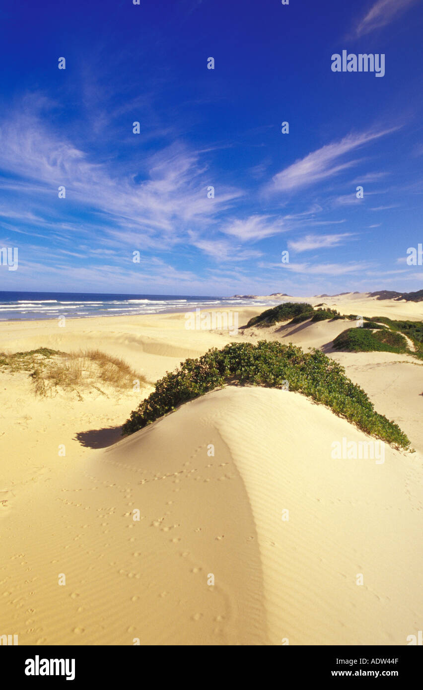 Sanddunes à Buchmans Embouchure, Port Alfred, Eastern Cape, Afrique du Sud Banque D'Images