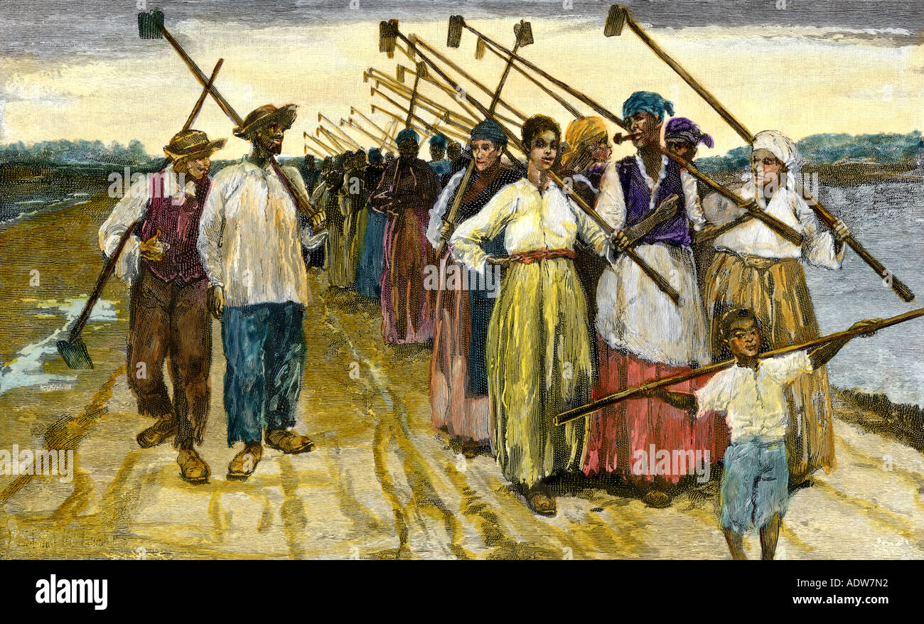 Les esclaves afro-américains de retour de les champs au crépuscule sur une plantation de sucre des années 1800. À la main, gravure sur bois Banque D'Images