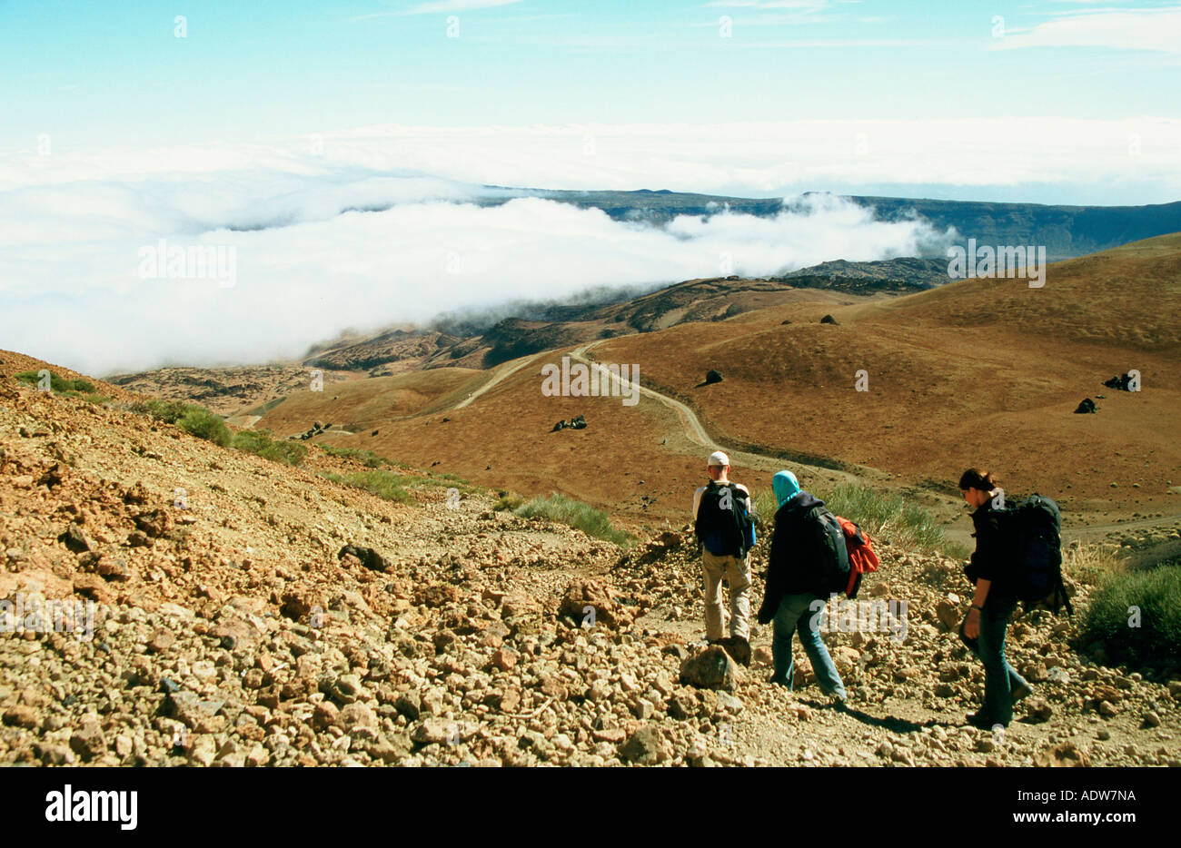 Les randonneurs sur le Mont Teide Parque Nacional del Teide Tenerife Banque D'Images