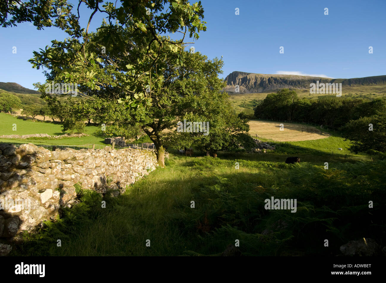 Cadir Idris snowdonia mountain national park Surrey North Wales Banque D'Images