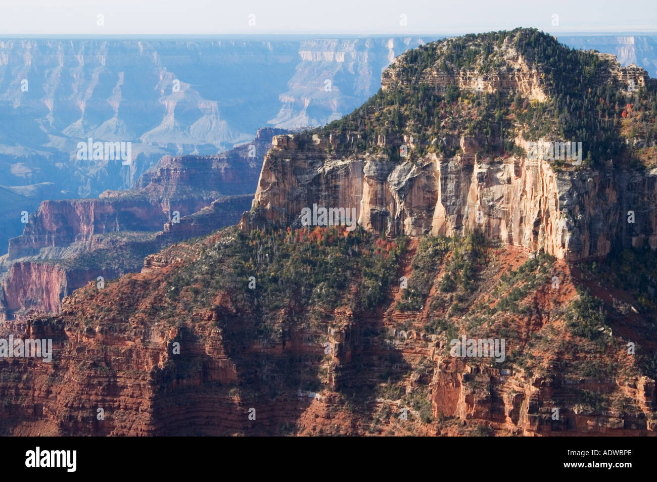 Arizona Grand Canyon National Park view de Bright Angel Point Trail sur North Rim Banque D'Images