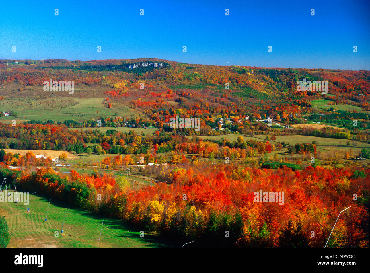 L'escarpement du Niagara' 'Old Baldy Mountain Les feuilles d'automne 'vallée Beaver' Ontario Canada Banque D'Images