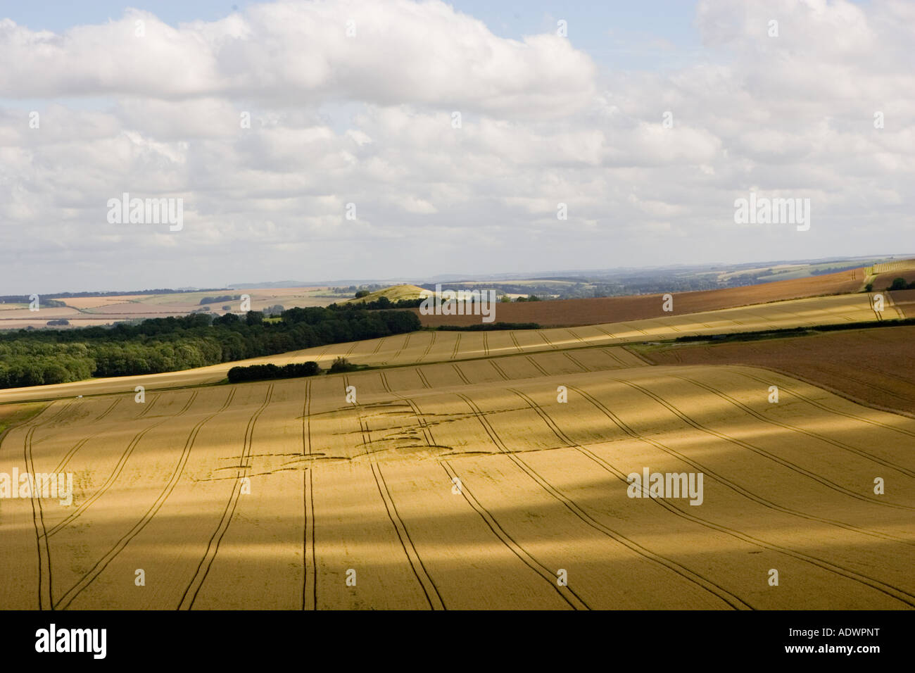 Crop Circle, dans la vallée de Pewsey Wiltshire England Royaume-Uni Banque D'Images