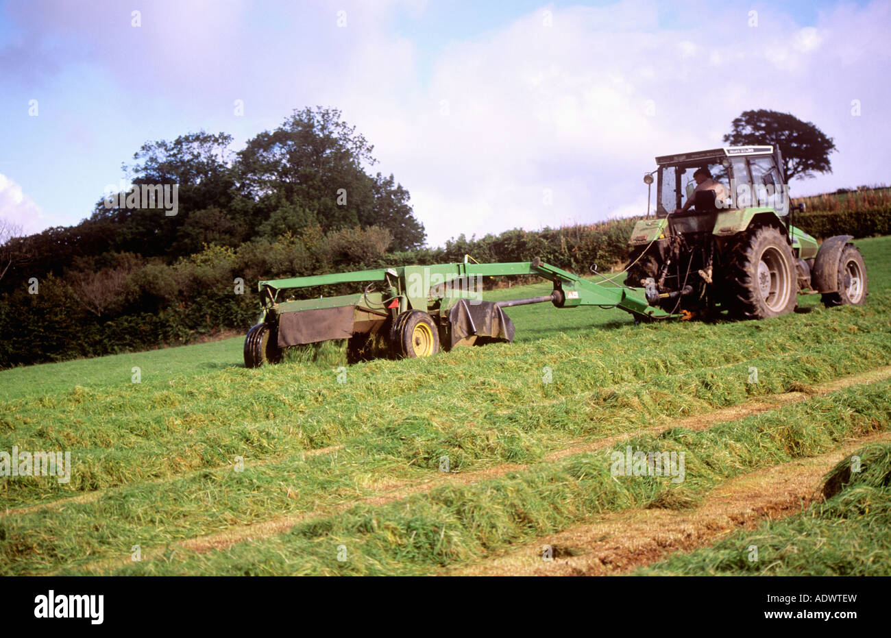 Fabrication de l’ensilage Banque D'Images