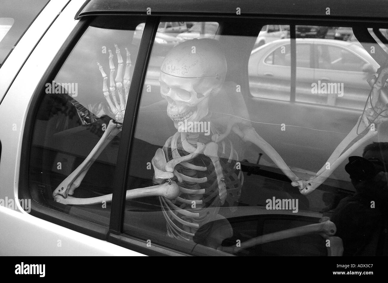 Scary Halloween squelette d'affichage dans le siège arrière d'une voiture Banque D'Images